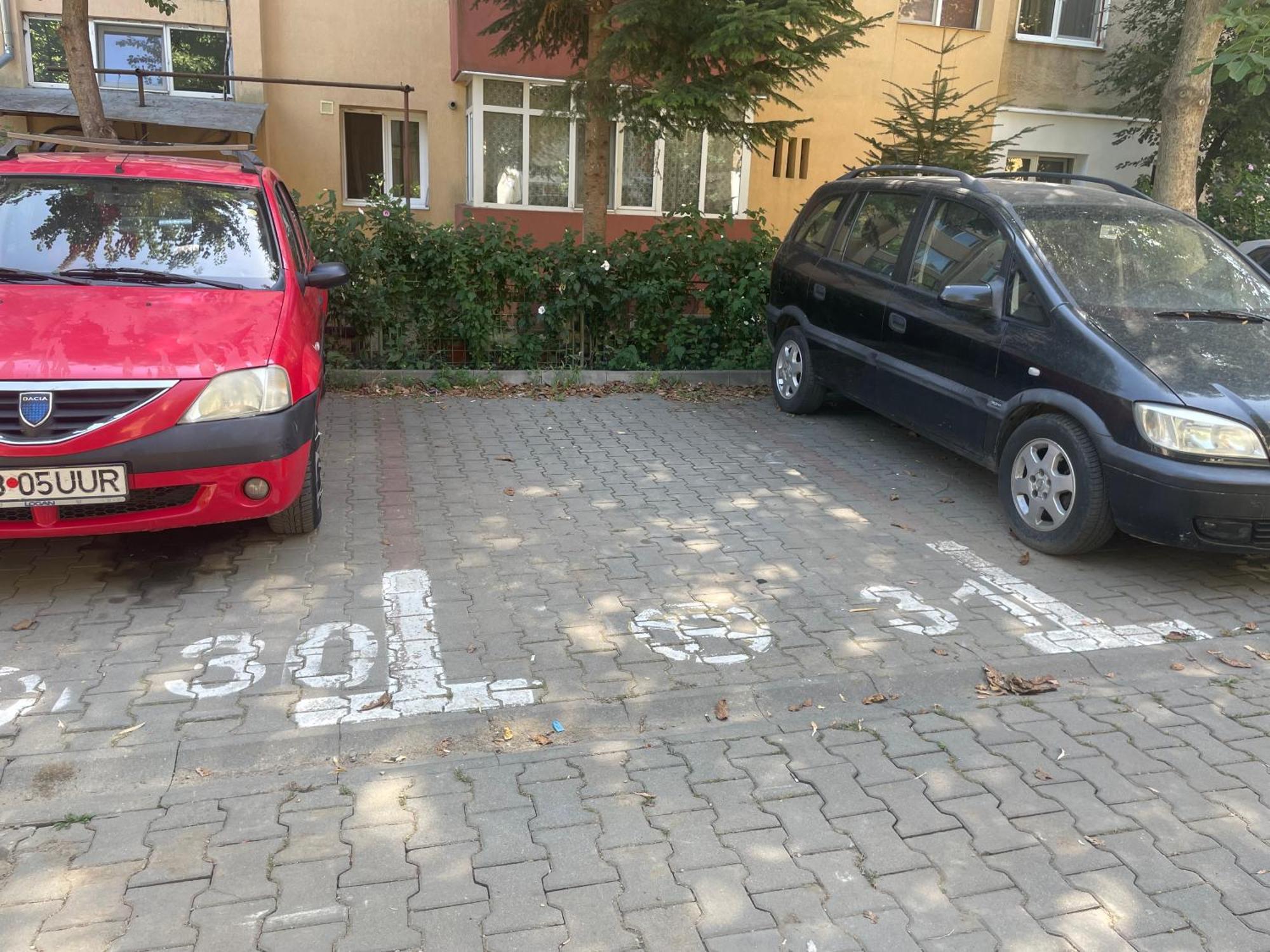 Kitty Sunflower Apartment Alba Iulia Buitenkant foto